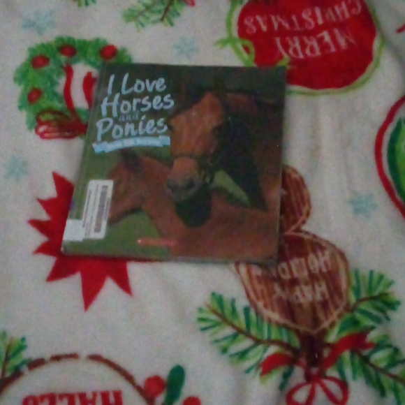 Horse book - Picture 1 of 1